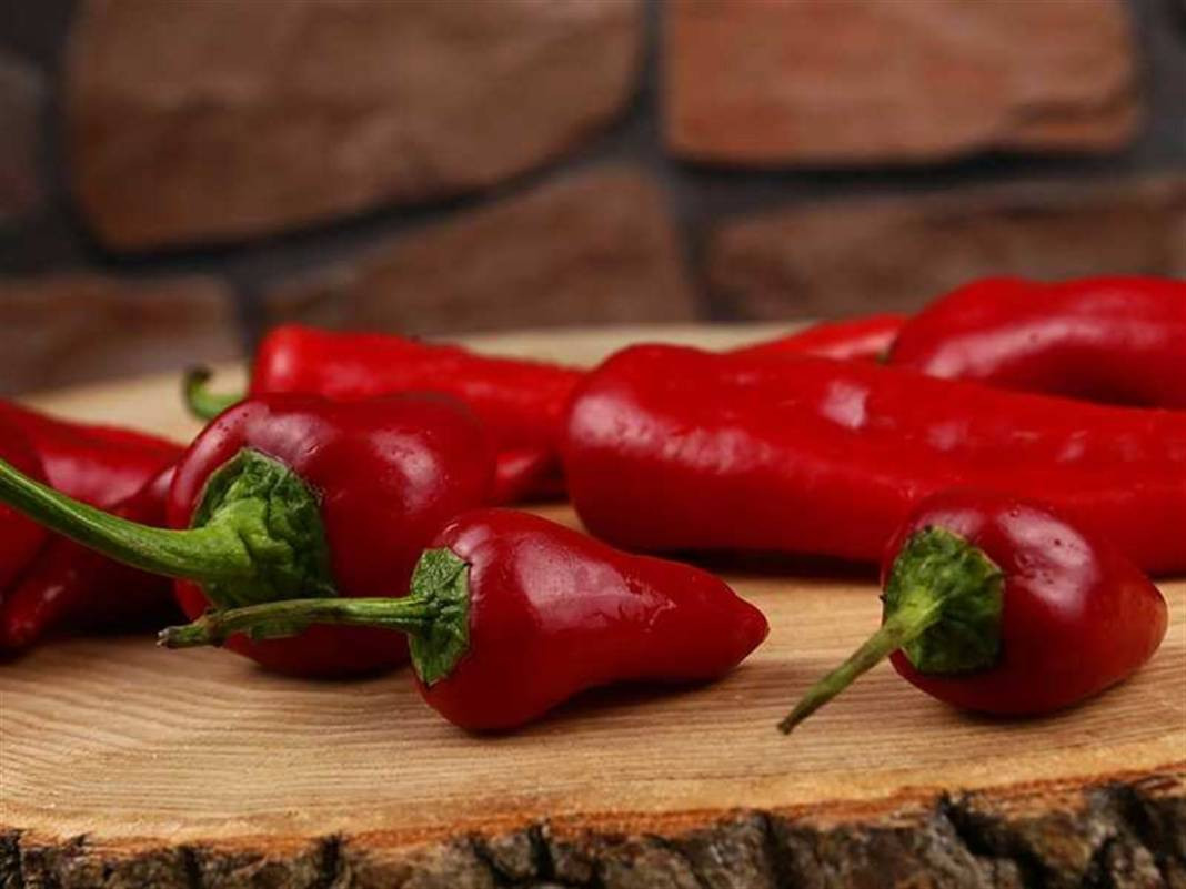 Biberleri taptaze tutuyor. Aylarca çürümüyor ve küflenmiyor - Resim: 7